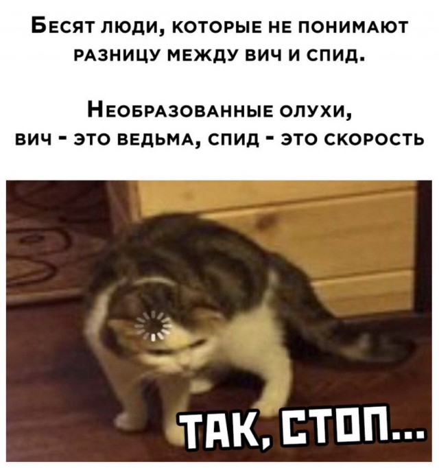 Картинки и мемы для настроения 009