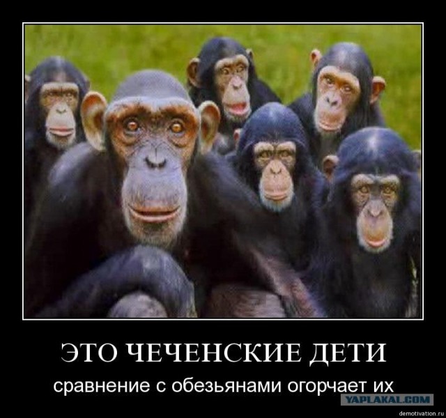 Сирийские повстанцы получили помощь от НАТО