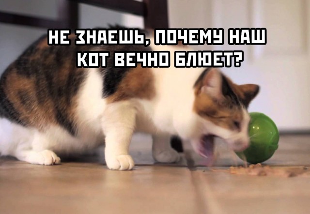 Странные короткие комиксы