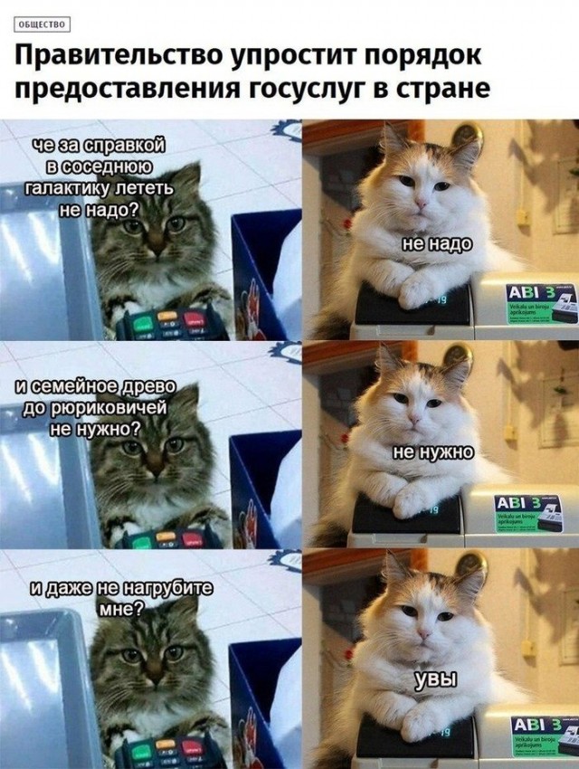 "Справку принеси!": в край упоротые ситуации, которых бы не было без бюрократизма
