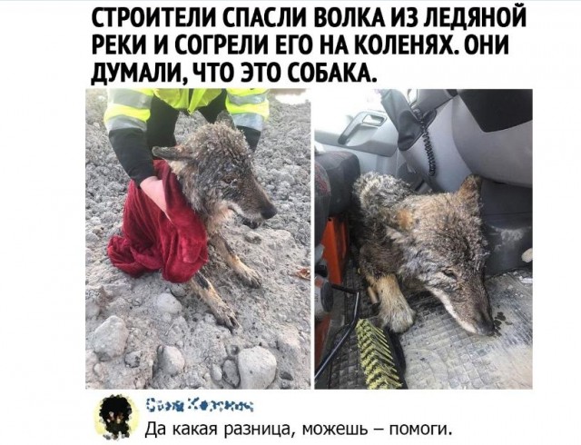 Картинки и мемы для настроения 28.04.2021