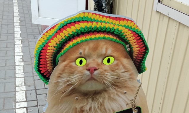 Котовторник. Поговорим о кличках, друзья