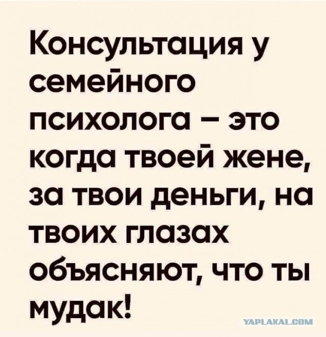 Весёлый полтишок 26.11