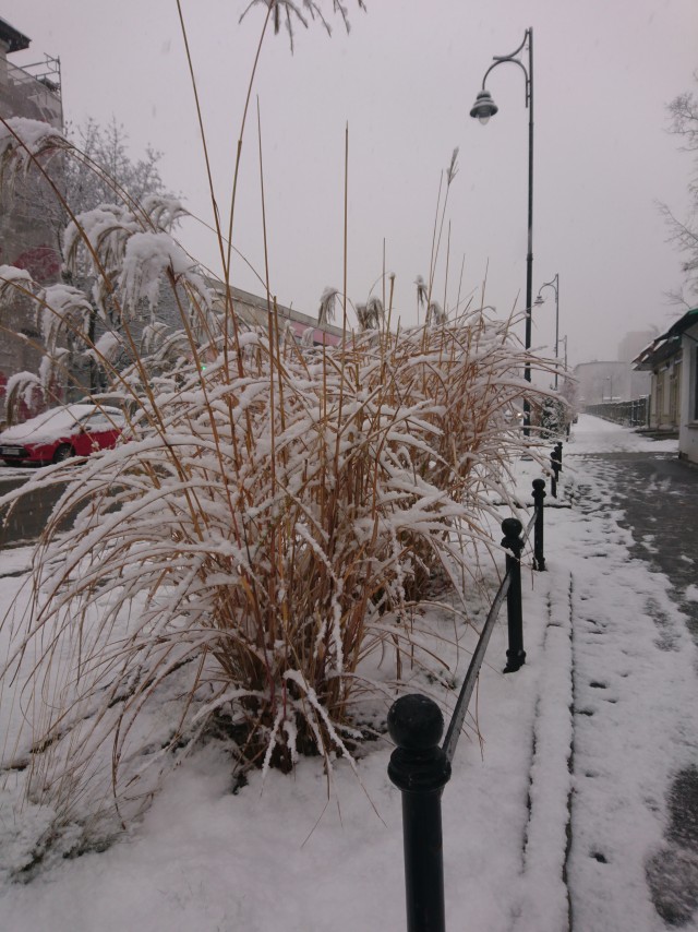 Городские фото