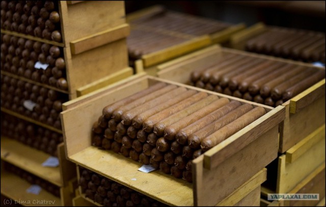 Сигарная фабрика Cohiba
