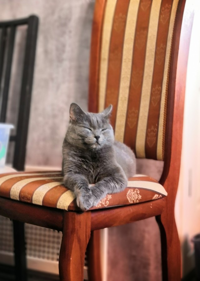 Ну, поехали в котоввторник!