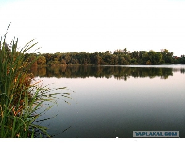 Открытая вода