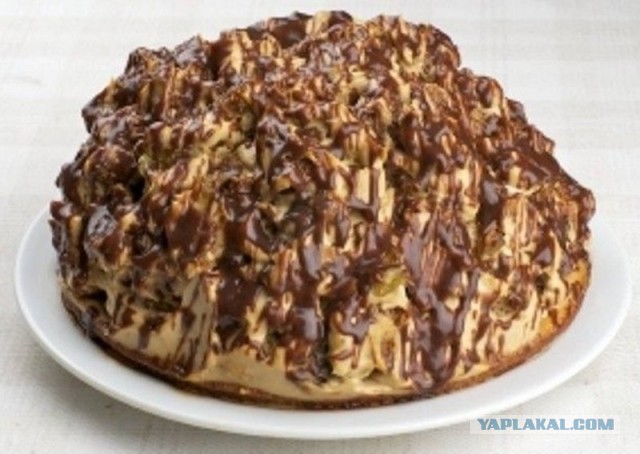 Кудрявая свинья