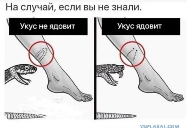 Буквы, рамки 18+