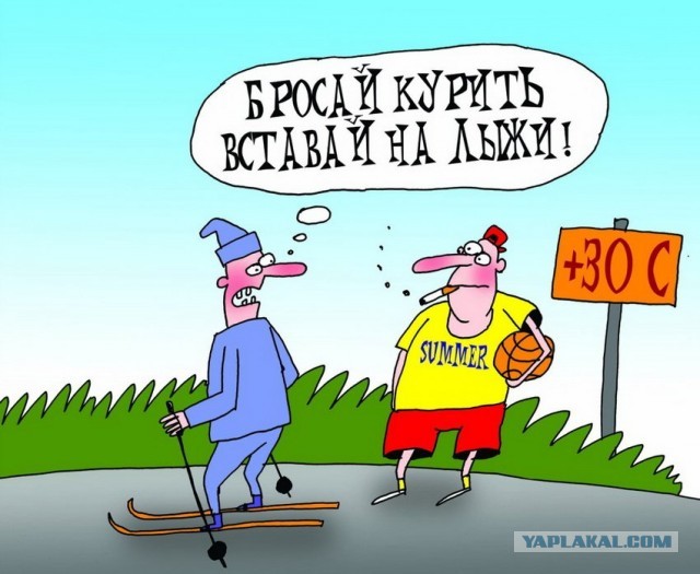 Желания сбываются