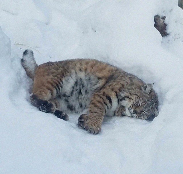 Картинки и мемы, всем хороших выходных