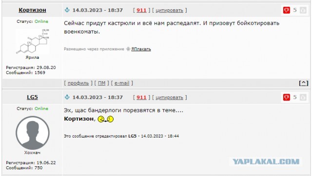 Вручать повестки начали в Воронежской области