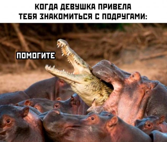 Картинки и мемы, всяко разно - 175