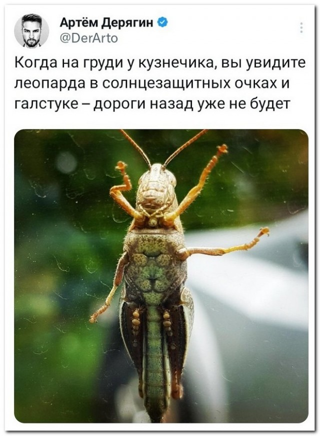 Забавные комментарии из социальных сетей (29.05.23)