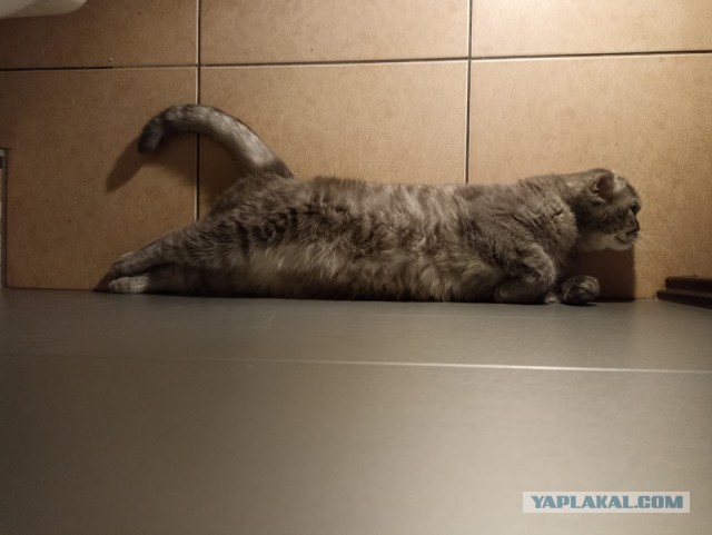 Всегда найдется тот, кто испортит твою фотку