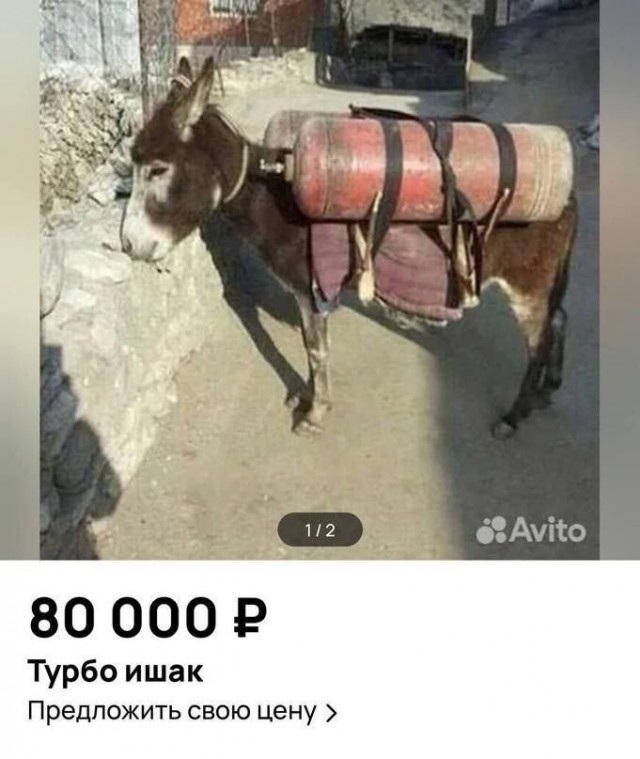 Всего понемногу. От 08.12.23