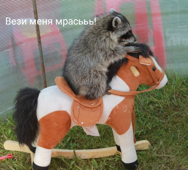 Семь неочевидных причин, почему мужчина не хочет секса