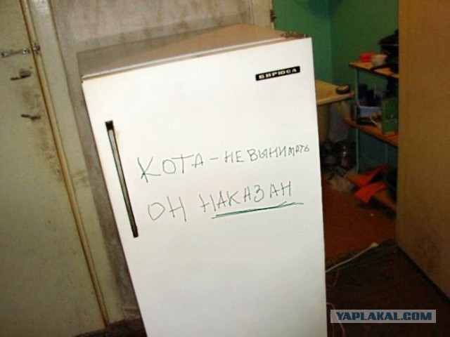 "Машина для убийства"
