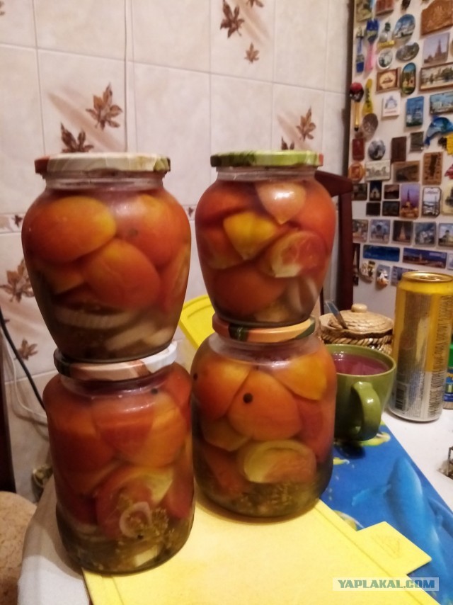 А как вы готовитесь к огородному сезону?