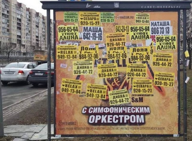Показывайте кота!