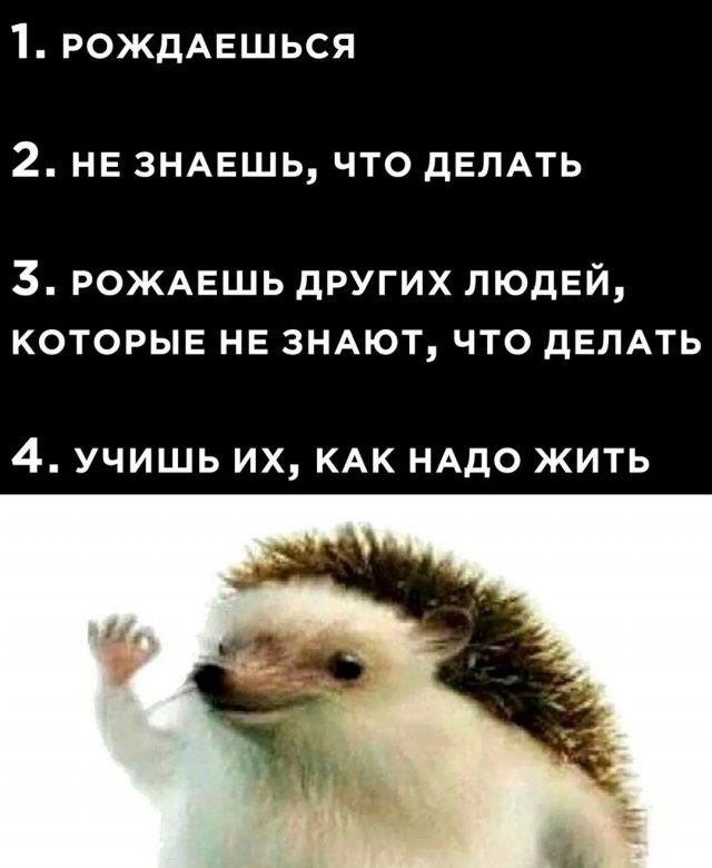 Завалялось тут случайно немного забавных картинок