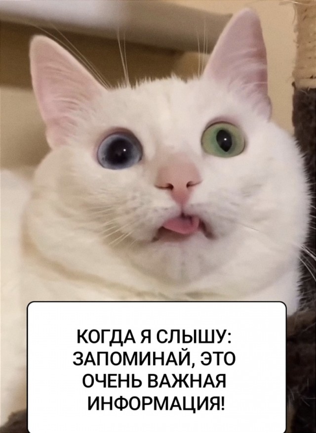Так себе картинки 03.05.24
