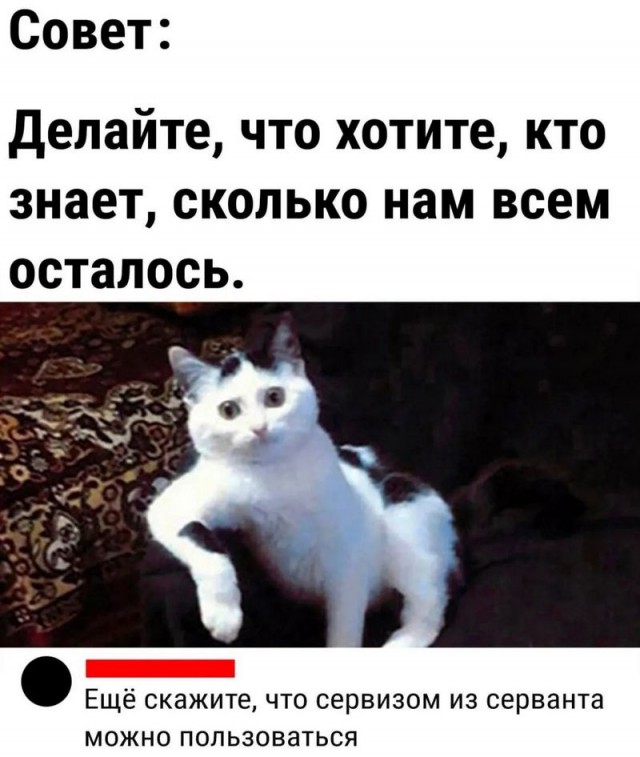 Завалялось тут случайно немного забавных картинок