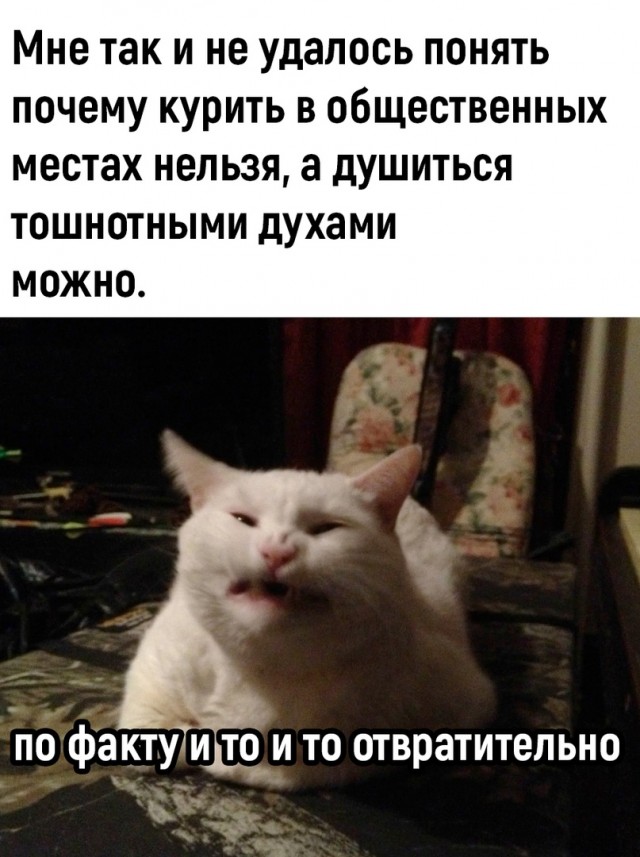 Так себе картинки 13.06.24