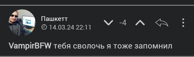 Друзья! Может уже хватит,на меня поклепы возводить? (Пашкетт)