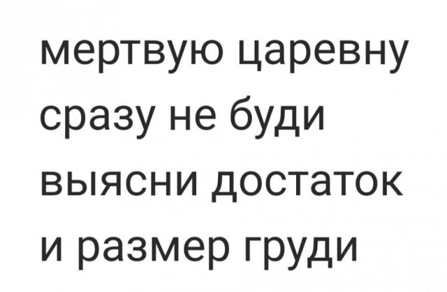 Весёлый полтишок 05.08.24