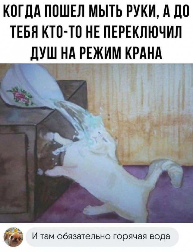 Подпеваем и деградируем вместе