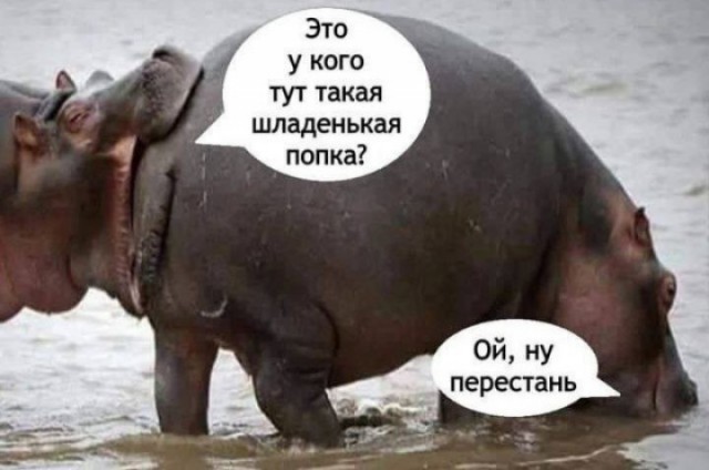 Завалялось тут случайно немного забавных картинок