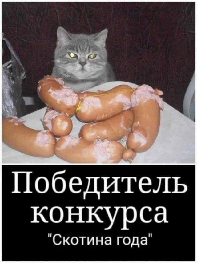 Веселые картинки к пятнице