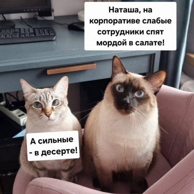Всего понемногу. От 06.02