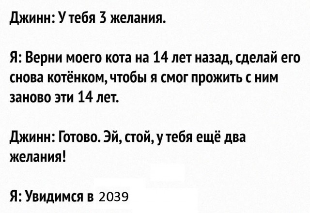 Малыш, ну я же лучше, лучше видеокарты!