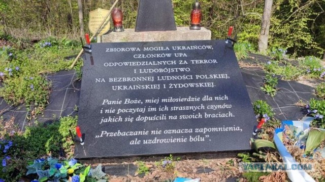 Дональд Трамп обвинил Зеленского в срыве сделки по мирному урегулированию конфликта.
