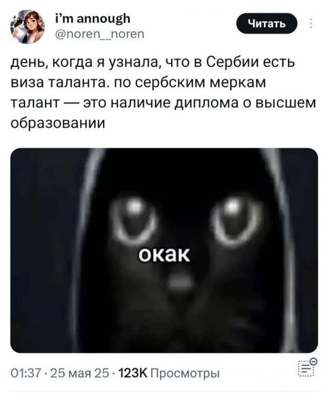 Талант по-сербски: наличие вышки!