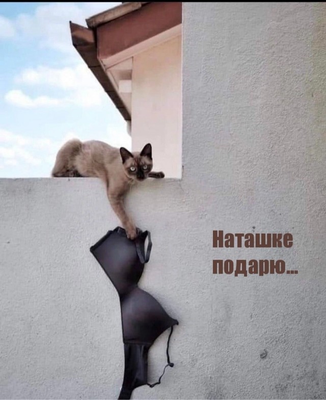 Завалялось тут случайно немного забавных картинок