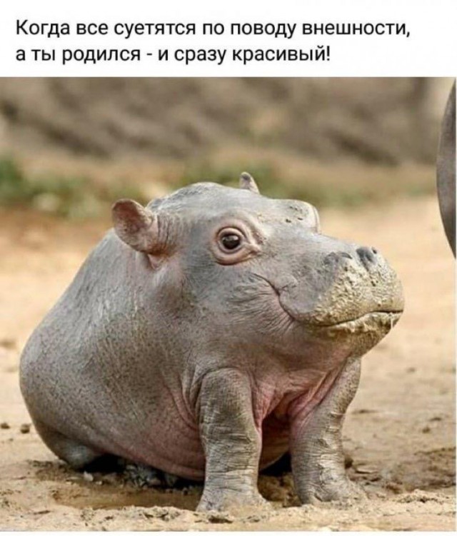 Веселый полтишок (09.07.2025)