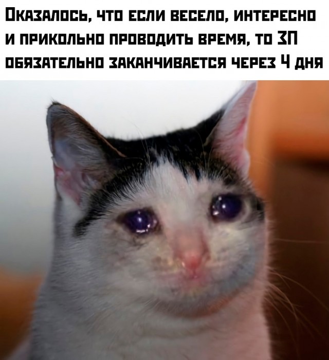 Весёлый полтишок 09.07.25