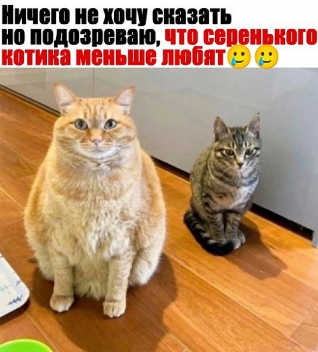 Так себе картинки 01.08.25