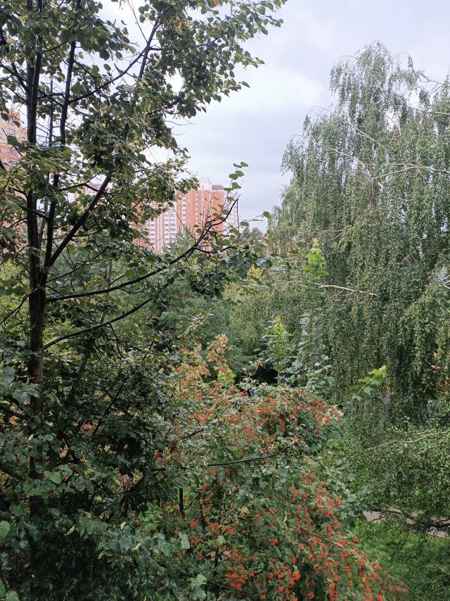 С  пятницей )