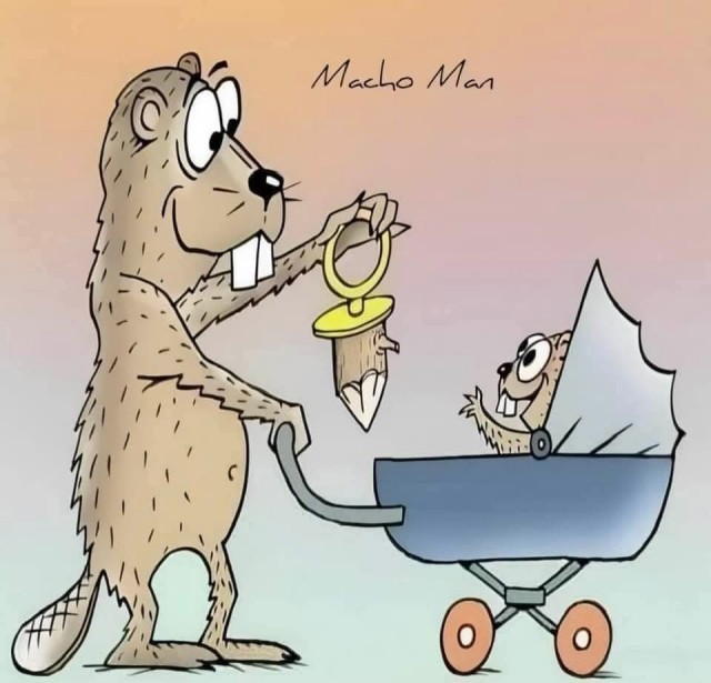 Маленькая пятница. 3.09