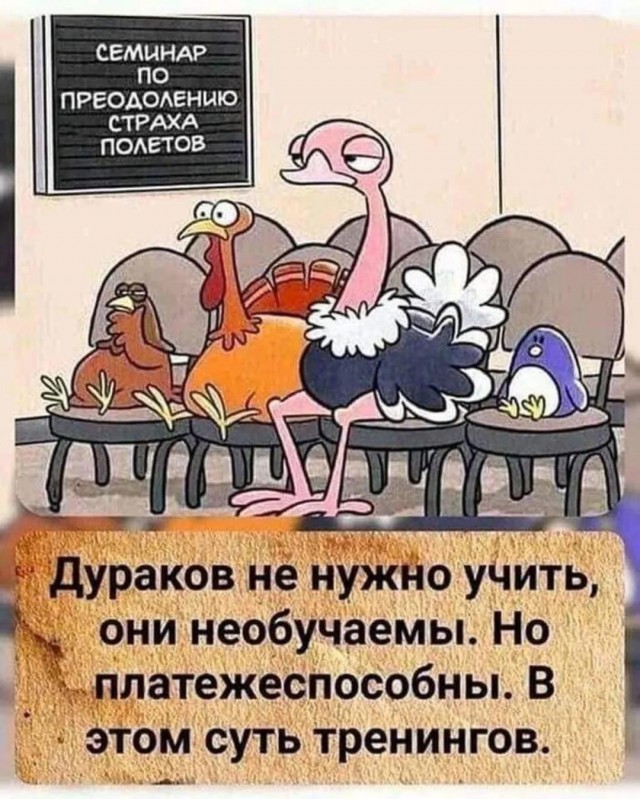 Картиночки, баянчики 30 января