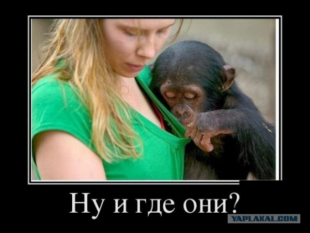 18 лет спустя!