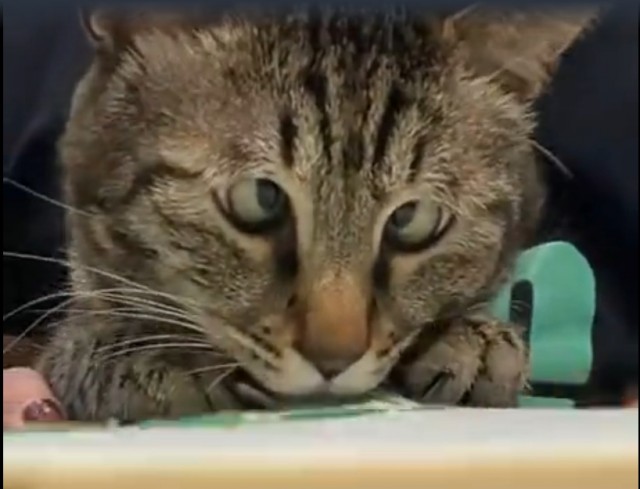 Я тебе помогу, у меня глаз алмаз