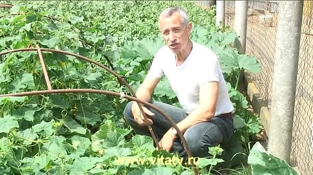Совет для стояка, походу от южанки-женщины