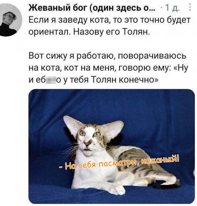 Картинки для деградации 151 (разной степени свежести)