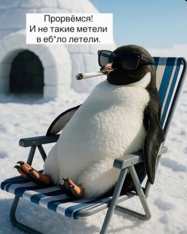 Картиночки, баянчики 14 марта