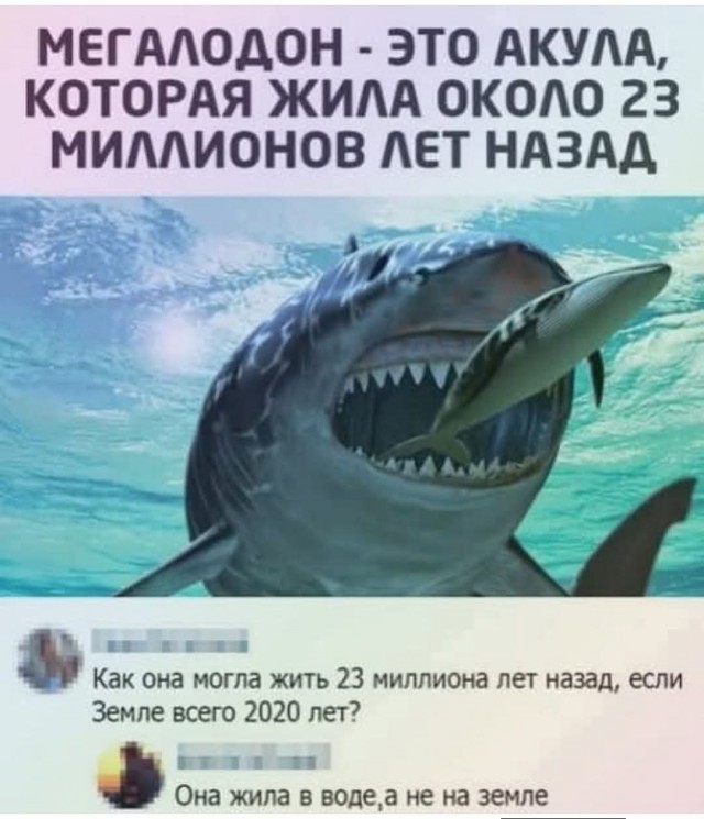 Картинки для улыбки